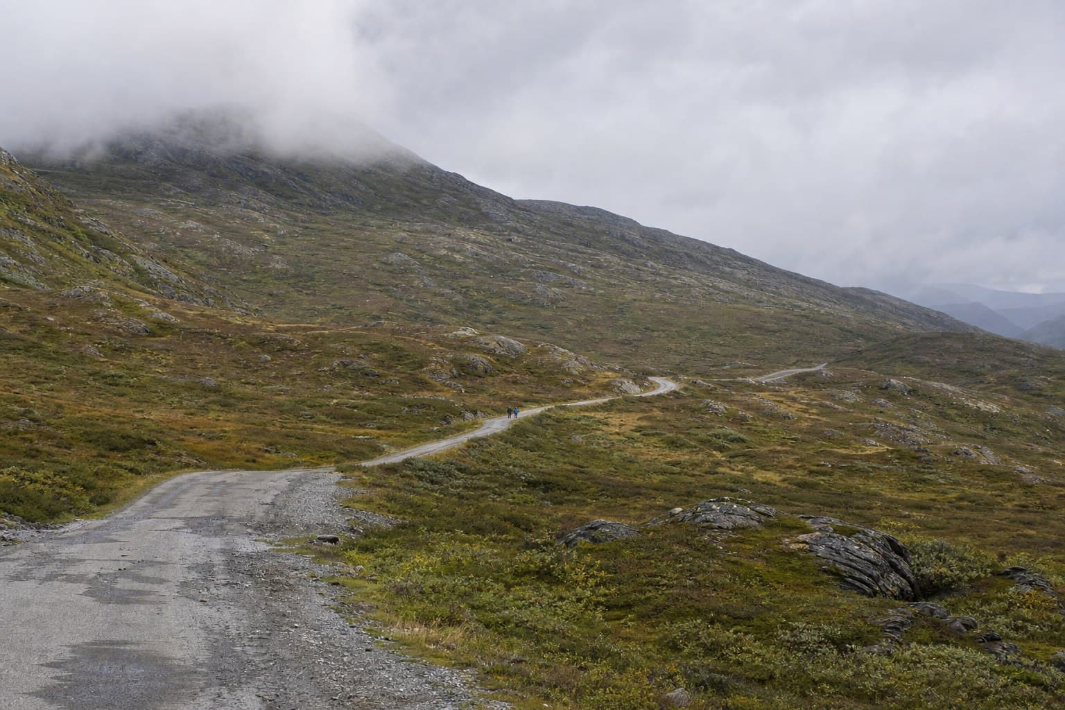 Hatcher Pass Berry Picking & Wildlife Tour