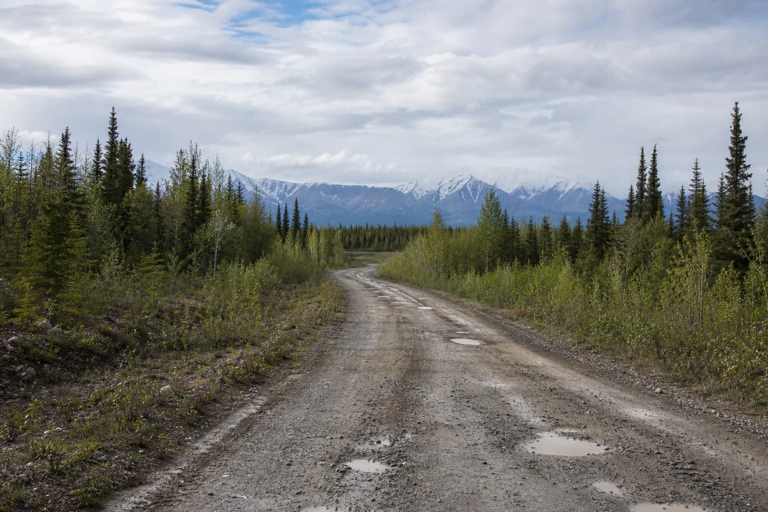 Petersville Backcountry Tour