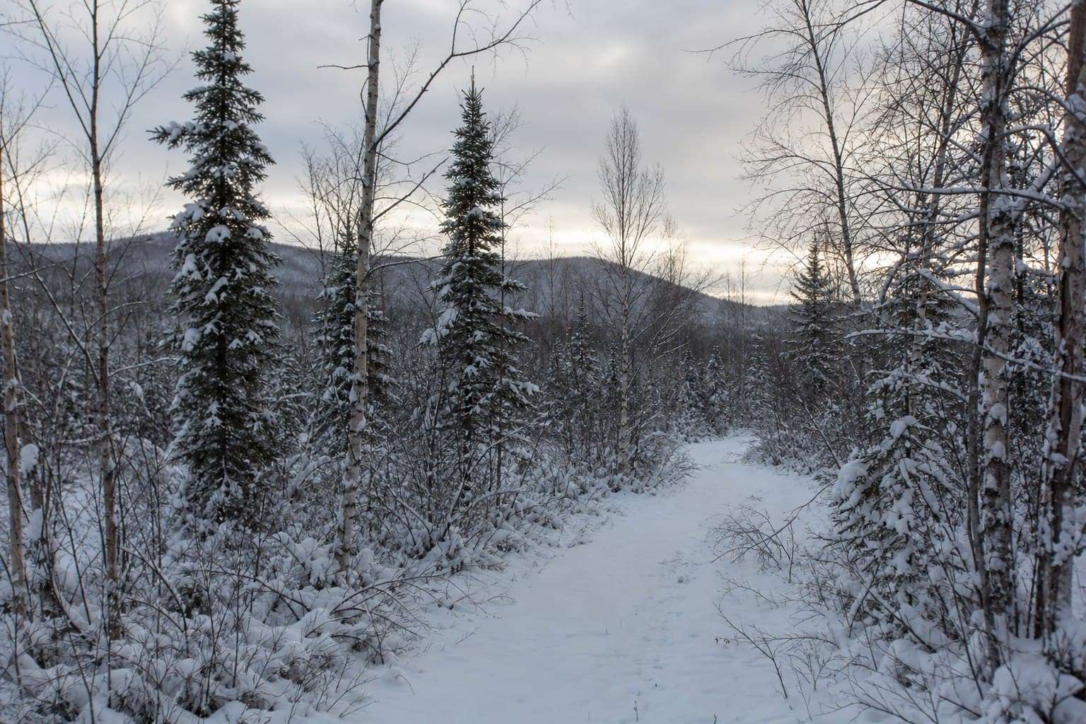 Winter Snowshoe Trek